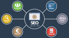 SEO visibility