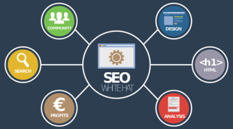 SEO visibility